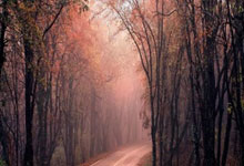 皇冠买球网 -践行(xíng)初心使命 谱寫(xiě)保险新篇