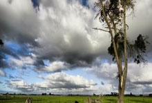 皇冠体育官网 -奋进“十五五” 谱写新篇章（社论）